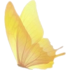 Butterfly - Natural - 