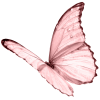Butterfly - Natural - 