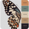 Butterfly colors - Illustraciones - 