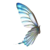 Butterfly(f) - Uncategorized - 