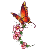 Butterfly with Flowers - Uncategorized - 