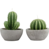 Cactus Candles - Items - 