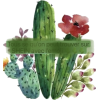 Cactus - Illustrations - 