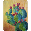 Cactus - Иллюстрации - 