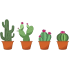 Cactus - Uncategorized - 