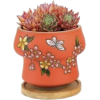 Cactus in pot - Biljke - 