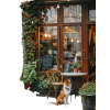 Cafe Shop - Buildings - 