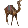 Camel - Predmeti - 