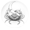 Cancer the Crab - Ljudje (osebe) - 
