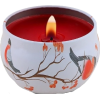 Candle - Articoli - 