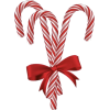 Candy Cane - Food - 