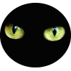Cat eye - Animals - 