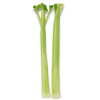Celery - 蔬菜 - 