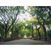 Central Park - Moje fotografije - 