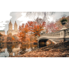 Central Park autumn New York - Uncategorized - 
