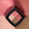 Chanel Blush and Illuminating Powders - Cosmetica - 