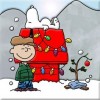 Charlie Brown Christmas - Other - 