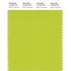 Chartreuse swatch - Ilustrationen - 