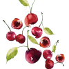Cherries - Anderes - 