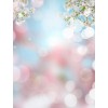 Cherry Blossom Background - Ilustracje - 