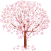 Cherry Blossom Tree - Uncategorized - 