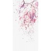 Cherry Blossoms Watercolor - My photos - 