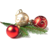 Christmas decoration - Rośliny - 
