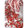 Christmas Candy Cane - Background - 