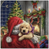 Christmas Dog - Ilustracje - 