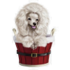 Christmas Dog - 插图 - 