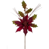 Christmas Flower - Pflanzen - 