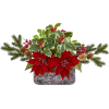 Christmas Flower - Rastline - 