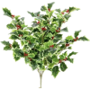 Christmas Holly - Plants - 