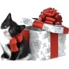 Christmas Kitty - Животные - 