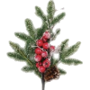 Christmas Pine Branch - Rascunhos - 