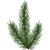 Christmas Pine Branch - Rascunhos - 