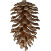 Christmas Pine Cone - Przedmioty - 