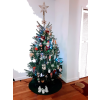 Christmas Tree 2019 - Plants - 