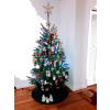 Christmas Tree 2019 - 植物 - 