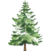Christmas Tree - Ilustrationen - 