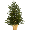 Christmas Tree - Растения - 