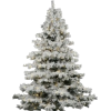 Christmas Tree - Piante - 