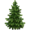 Christmas Tree - Растения - 