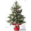 Christmas Tree - Biljke - 