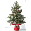 Christmas Tree - Pflanzen - 