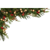 Christmas Trees - Uncategorized - 