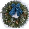 Christmas Wreath - Biljke - 