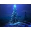 Christmas - Nature - 