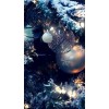 Christmas - Meine Fotos - 