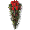 Christmas - Plants - 